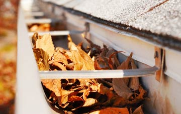 Cross Ash gutter cleaning companies