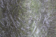 Cross Ash fibreglass roof work